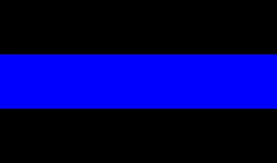 The Thin Blue Line 29