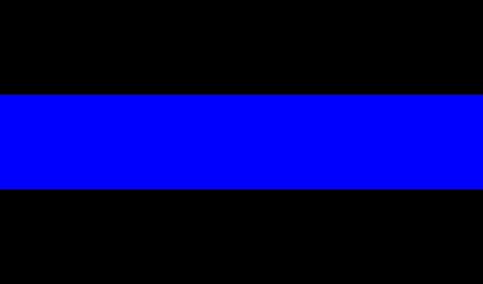 The Thin Blue Line 29