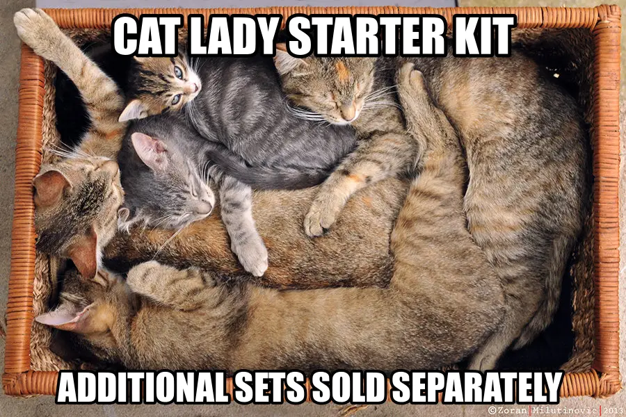 catlady_starter_kit