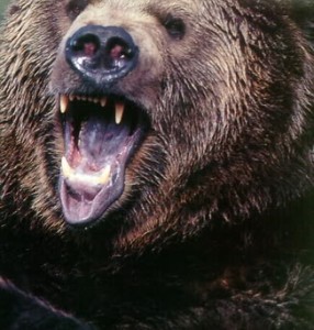 Angrybear