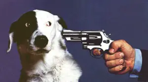 dog-and-gun