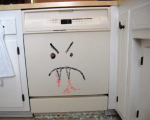 (Evil dishwasher image lifted from this blog, where at least nobody was harmed by the dishwasher rampage).