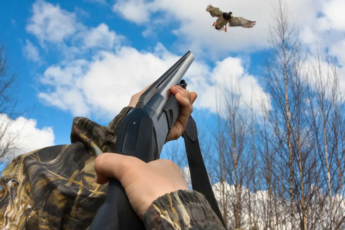 How Far Does Bird Shot Travel
