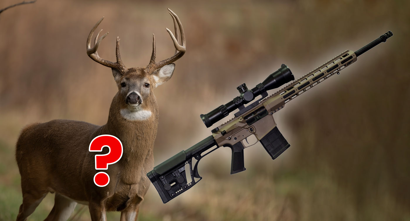 Where to Shoot a Deer With a 223: Expert Tips for Success