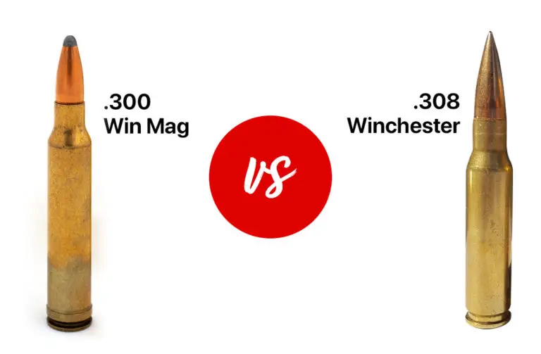 .300 Win Mag vs .308 Winchester caliber comparison