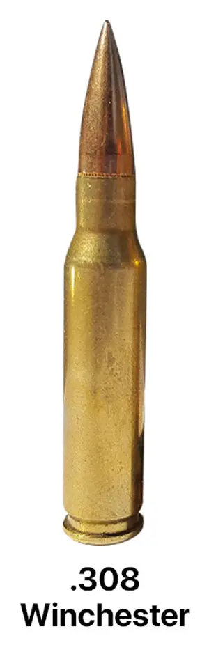 .308 Winchester Bullet