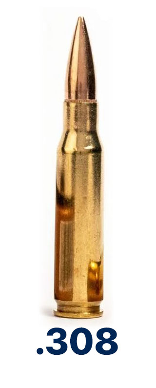 .308 Bullet