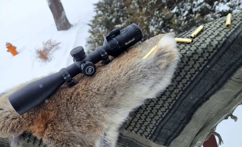 Bushnell AR Scope sitting in snow on animal hide