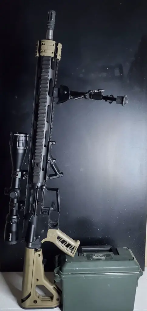 Bushnell Banner 2 mounted on ar15