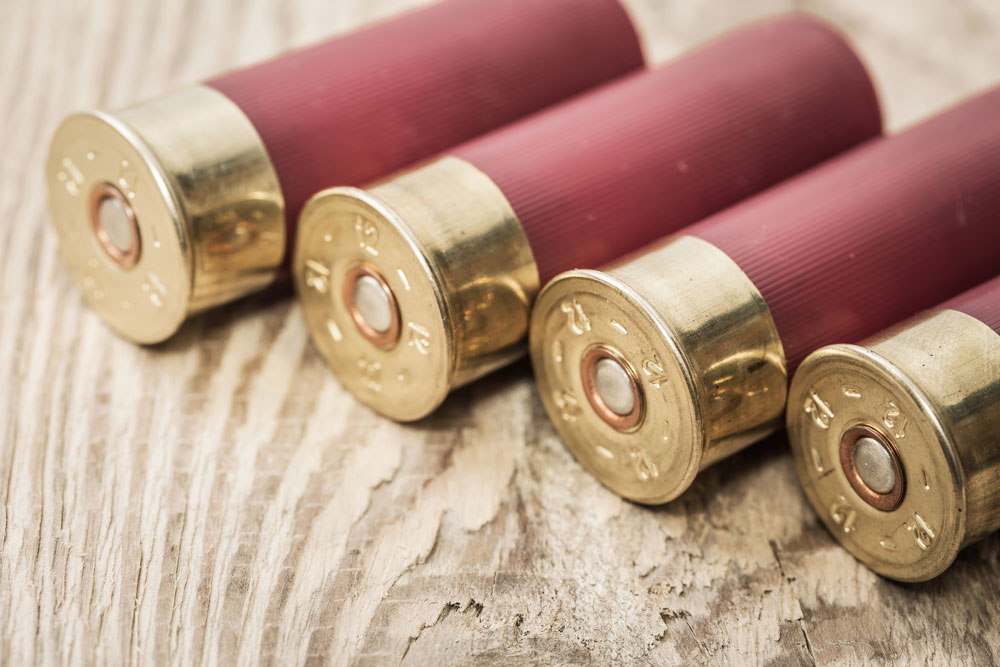 Shotgun shells