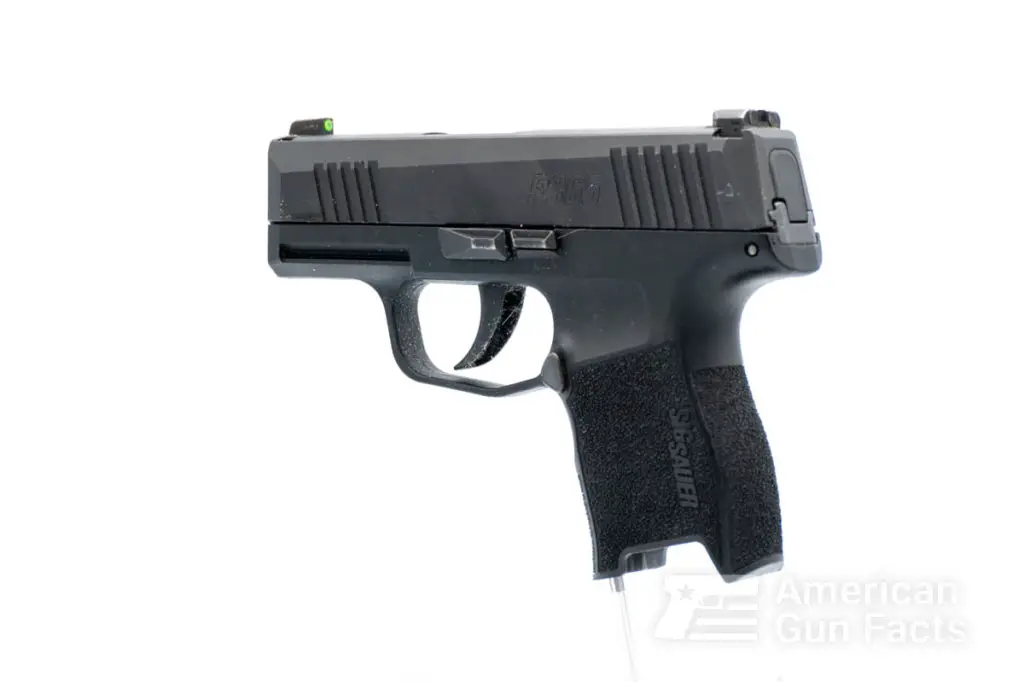 Sig P365 left side back