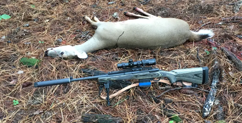 Deer Hunted with a  Vortex Crossfire II 1-4X24