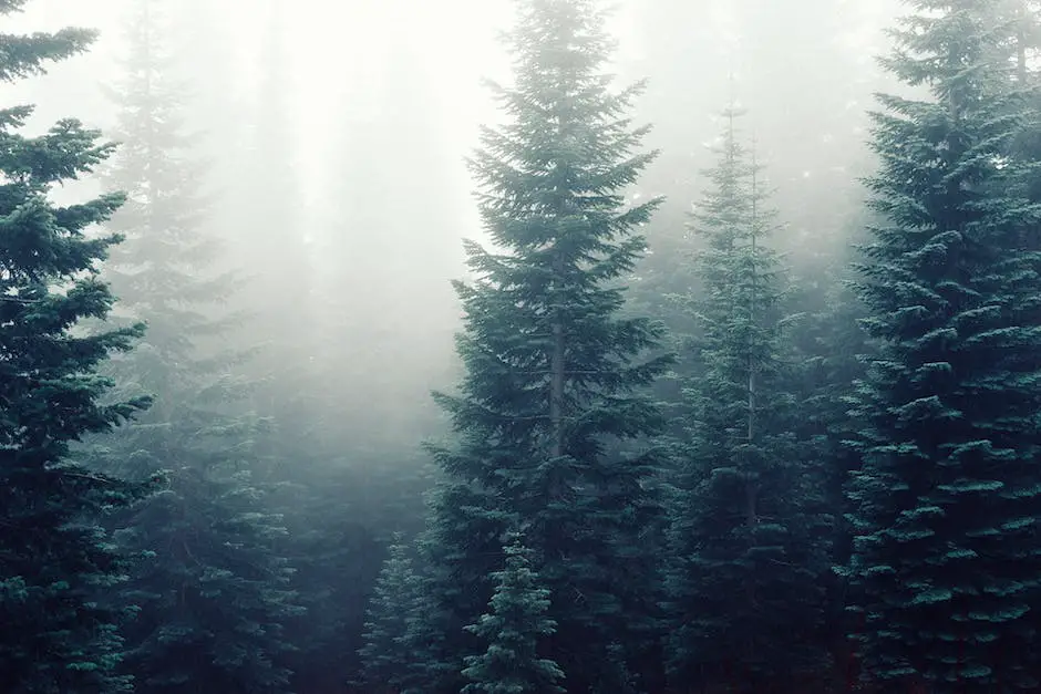 A bear standing near a forest, highlighting the importance of understanding bear behavior and using non-lethal defense strategies.