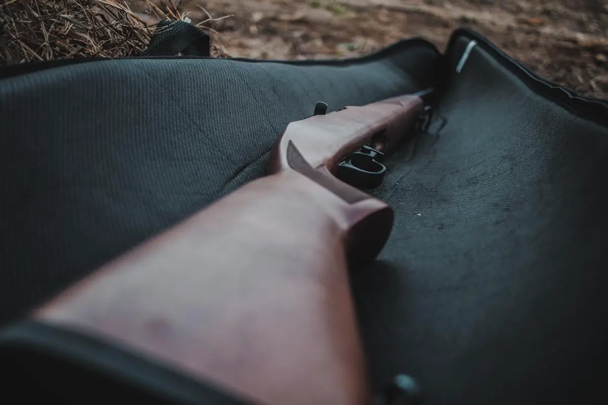 Image description: Ruger LCP Max firearm placed on a wooden surface.